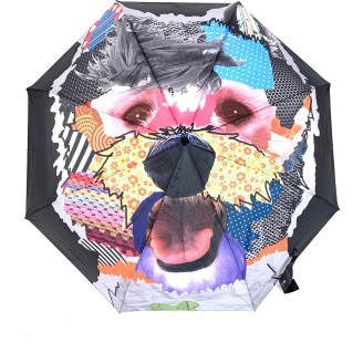 Petit parapluie modern art magic chien
