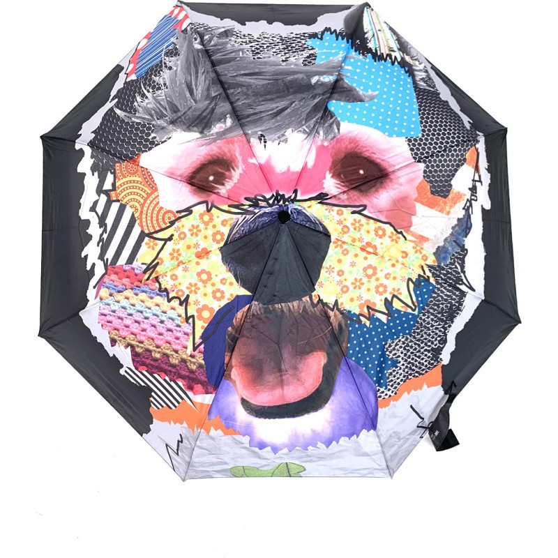 Petit parapluie modern art magic chien