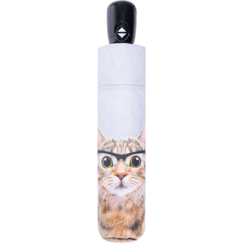 Petit parapluie art magic mini crazy cat