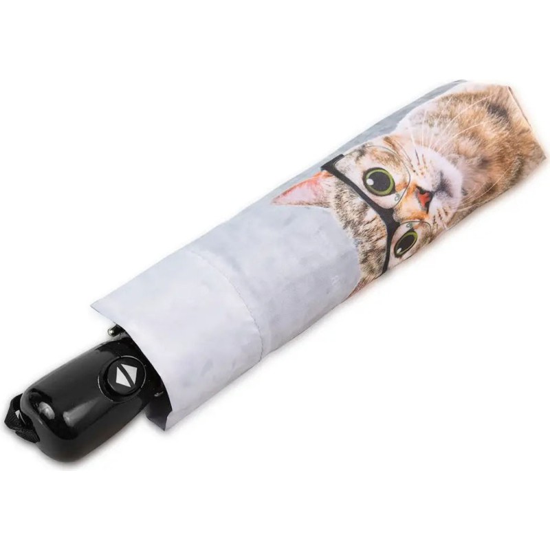 Small umbrella art magic mini crazy cat