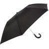 small black umbrella with cane