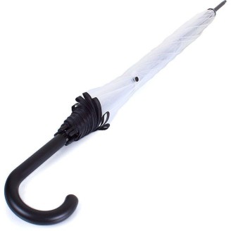 Long transparent umbrella with black edge and cane