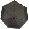 small black umbrella with cane