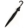 long black umbrella with cane