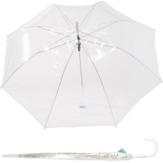 Long transaprent umbrella with white cane