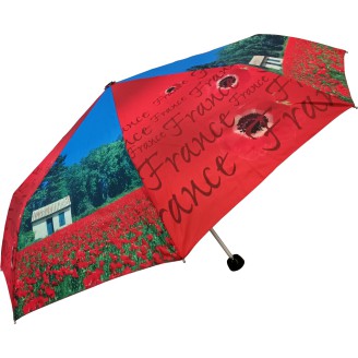 Small umbrella mini light art collection France