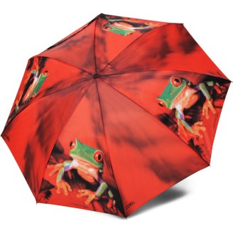 Small magic umbrella mini art collection with frogs