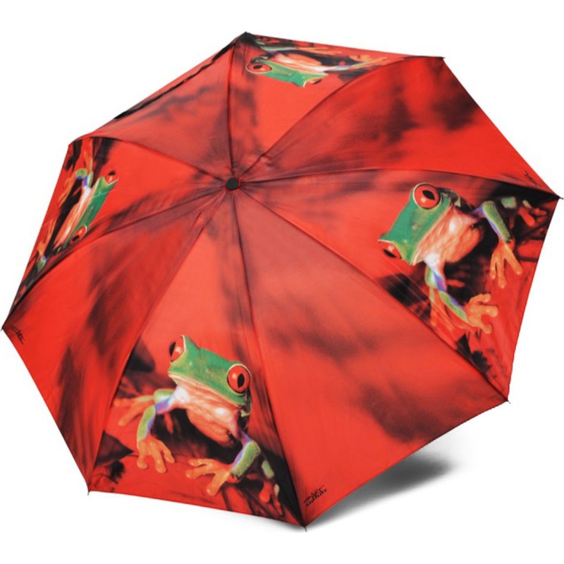 Petit parapluie magic mini art collection avec grenouil