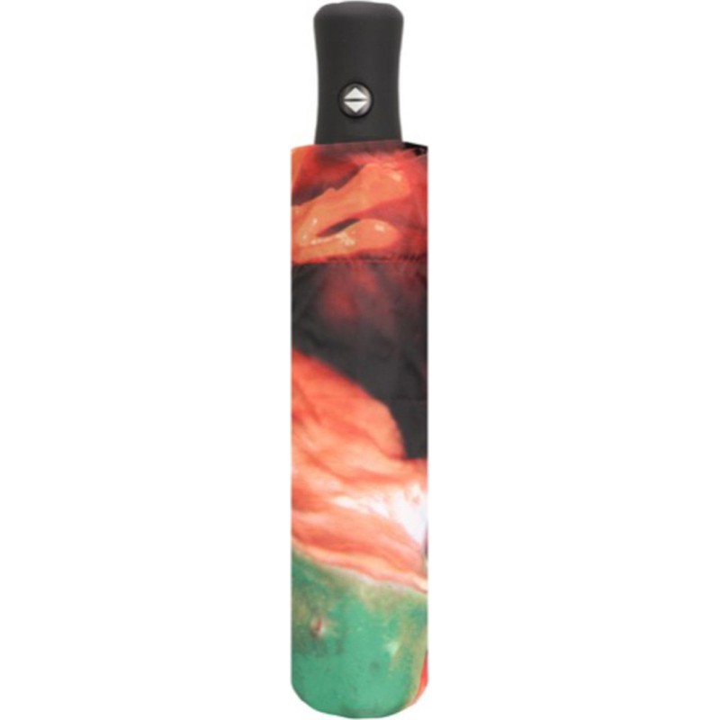 Petit parapluie magic mini art collection avec grenouil