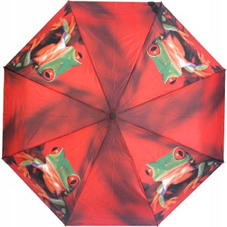 Petit parapluie magic mini art collection avec grenouil