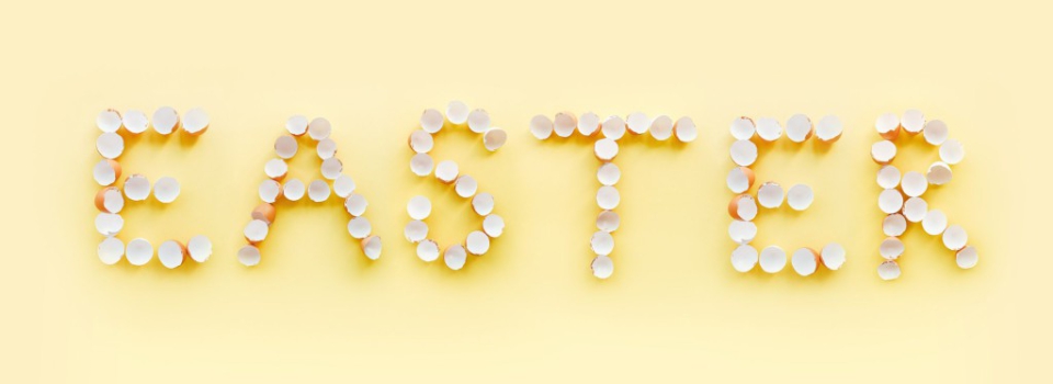 Quoi de noeuf chez les cocognes ?